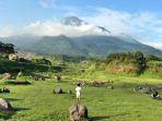 waktu-terbaik-berkunjung-ke-ranu-manduro.jpg