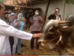 wali-kota-palembang_20150922_174142.jpg