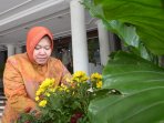 walkot-surabaya-beri-penghargaan-imp-2014_20150313_133029.jpg