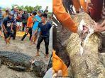 wanita-di-kalimantan-utara-yang-menjadi-sasaran-buaya-air-asin.jpg
