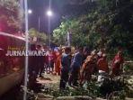 wanita-pengendara-motor-tewas-tertimpa-pohon.jpg