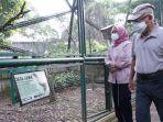 wapres-maruf-amin-istri-jalan-pagi.jpg
