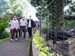 wapres-maruf-olahraga-tmii-nih3.jpg