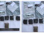 warga-as-terima-paket-dari-china-yang-bertuliskan-perhiasan-tapi-isinya-bibit-tanaman-misterius.jpg