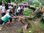 warga-beramai-ramai-pangkas-pohon-tumbang_20150721_191012.jpg