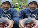 warga-blitar-cari-ulat-jati.jpg