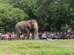 warga-memadati-taman-margasatwa-ragunan_20190610_064244.jpg