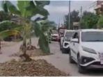 warga-menanam-pohon-pisang-di-sepanjang-jalan-poros-pangkajene-amparita12.jpg