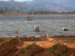 warga-mencari-ikan-di-bendungan-jatigede-sumedang_20200928_191436.jpg