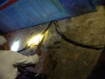warga-menemukan-ular-king-kobra_20180520_171045.jpg