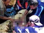 warga-mengeluarkan-potongan-tubuh-dari-perut-buaya.jpg