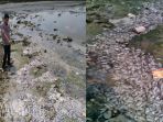 warga-menyaksikan-ikan-ikan-yang-mati-terdampar-di-pantai-di-paciran-lamongan_20171110_185647.jpg