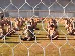 warga-palestina-yang-ditelanjangi-tentara-israel.jpg