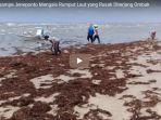 warga-pesisir-di-jeneponto-mengais-rumput-laut-yang-rusak-diterjang-ombak_20181018_110743.jpg