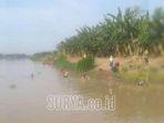 warga-ramai-ramai-menangkap-ikan-mabuk-di-pinggiran-bengawan-solo-ya.jpg