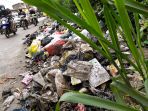 warga-tak-bertanggung-jawab-buang-sampah-di-jalan-raya_20210223_221316.jpg