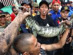 warga-tangkap-biawak-sepanjang-dua-meter-dari-gorong-gorong_20191104_231039.jpg