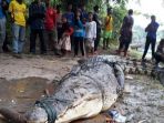 warga-tangkap-buaya-sepanjang-4-meter_20180903_131912.jpg