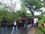 warga-tumbangkan-pohon_1_20180308_083938.jpg