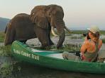 wildlife_20160412_155012.jpg