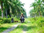 wilmar-mendampingi-1500-petani-swadaya-dari-lima-koperasi-kelapa-sawit-di-siak.jpg