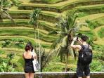wisata-bali_20160607_045609.jpg