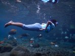 wisata-bawah-air-umbul-ponggok-klaten_20150209_114219.jpg
