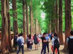 wisata-korea_20151014_115446.jpg