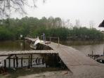 wisata-mangrove_20151025_080448.jpg