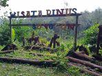wisata-pinus-songgon.jpg