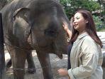 wisatawan-di-solo-safari.jpg