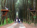 wisatawan-hutan-pinus-kragilan-pakis-magelang_20170113_143957.jpg