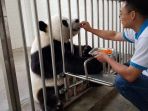 wolong-panda-base_20170926_084506.jpg