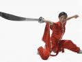 wushu-ilustrasiiiii.jpg