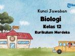 www-Kunci-Jawaban-Biologi-Kelas-12-Halaman-5-Kurikulum-Merdeka-Aktivitas-11.jpg