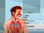 x-sains-mekanisme-sistem-organ1.jpg