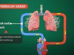 x-sains-mekanisme-sistem-organ3.jpg