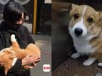xiao-wu-dan-anjingnya_20180115_130428.jpg