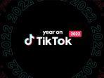 year-on-tiktok-20221134e.jpg