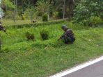 yonif-pr-328dgh-berhasil-mengamankan-satu-paket-ganja_20181207_173129.jpg