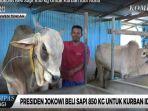 yudi-prianto-peternak-sapi-menuturkan-bahwa-sapi-yang-dibeli-presiden-jokowi.jpg