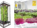 zip-vertical-microgreen.jpg