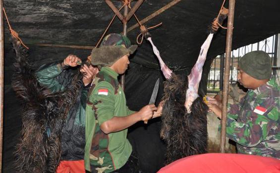 Begini Cara Prajurit TNI Berkurban di Lebanon  Selatan (Foto) - DSC_0103.jpg