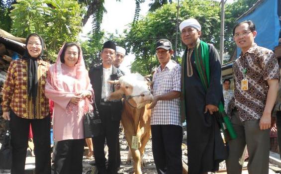 Pendeta Arak 3 Sapi dan 7 Kambing ke Ponpes Nurul Islam (Foto) - Foto_12.jpg