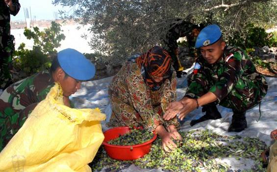 Ternyata Prajurit TNI Jago Memanen Buah Zaitun Lho (Foto) - KWZ_0098.jpg