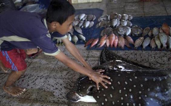 Harusnya Bermain, Tapi Anak Ini Banting Tulang Cari Duit - 201211_13_193666p.JPG