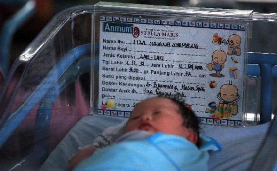 Puluhan Bayi Mungil Ini Kalah Tenar Dibanding Bayi Krisdayanti - 201212_12_198239p1.JPG