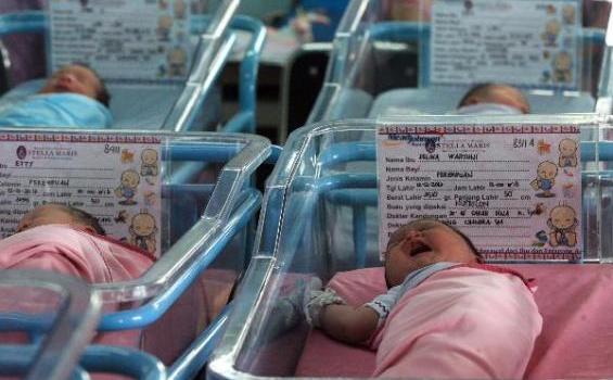 Puluhan Bayi Mungil Ini Kalah Tenar Dibanding Bayi Krisdayanti - 201212_12_198240p.JPG