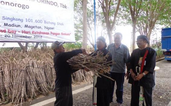 Petani Tak Lagi Kekurangan Bibit Singkong - saritanam.JPG