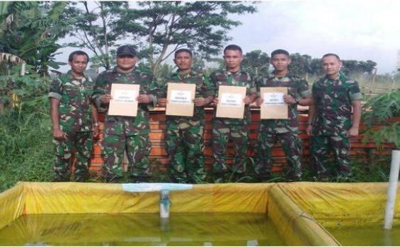 Yuk Tiru Anggota TNI Berdayakan Lahan Kosong - denhubdivif1-budidayalele-2.jpg